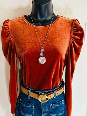 Velvety Rust Dream: Shein's Cozy Chic Long Sleeve Top for Fall Vibes size 6